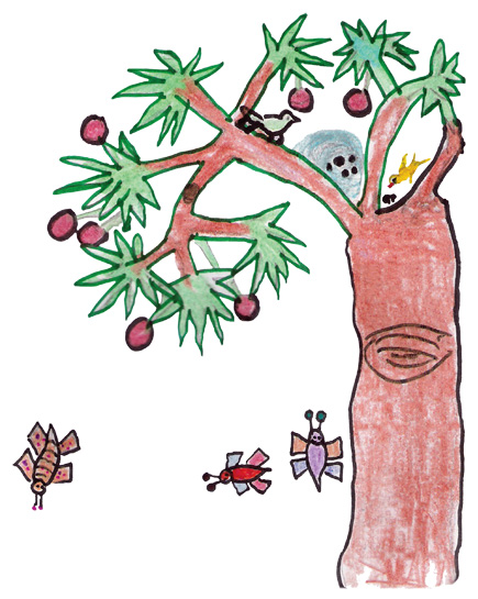 Fourteen-year-old Gayatri's drawing of one of the many fruit trees in their garden. Fourteen-year-old Gayatri's drawing of one of the many fruit trees in their garden.