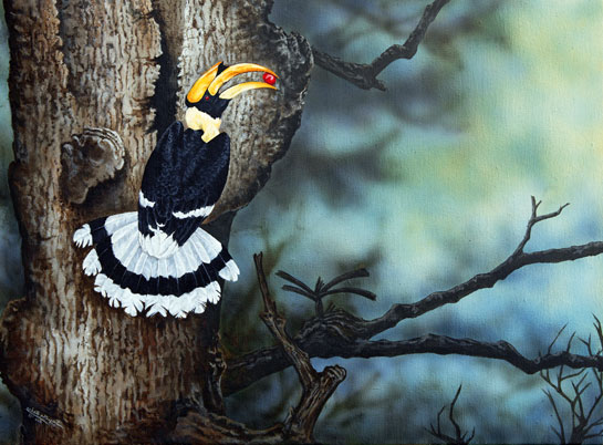 Diligently and regularly, the male Great Hornbill carries food to the female sealed within the tree cavity, during the nesting period. 18
