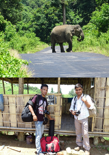 Green Hub Fellows Rihan and Wanmai at the WTI campsite in Karbi Hills, Assam for their internship. They photographed this elephant on their first day in the field.