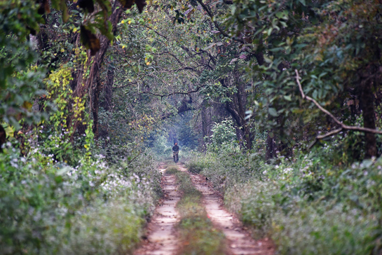 India's frontline forest staff risk life and limb every day as they set out for their patrols. From confronting timber smugglers, armed poachers and illegal fishermen to being attacked by wild animals, it's all in a day's work for these dharti rakshaks.