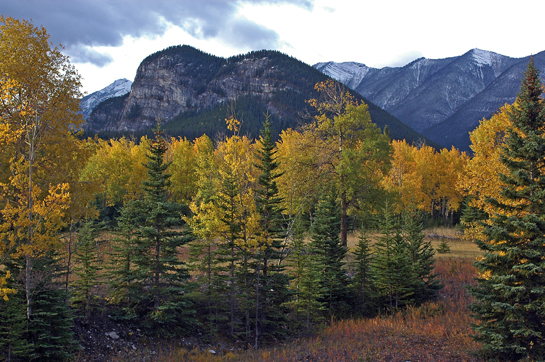 Captured here by Harvey is Canada's Tunnel Mountain, called Sleeping Buffalo due to its shape, as viewed from the north and east.