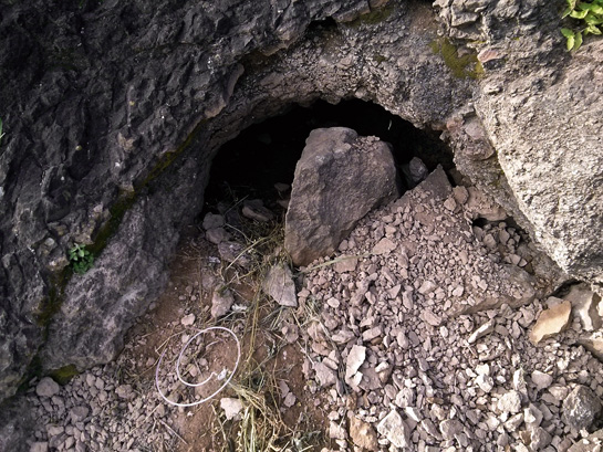 One of the many den sites that the authors monitored to gain insights into the breeding habits of the hyaenas.
