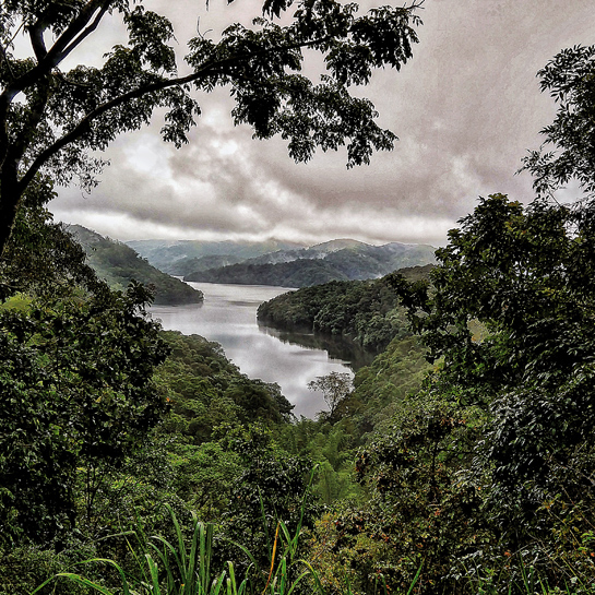 As part of the Western Ghats ecosystem, Kerala's wildernesses are among the richest biodiversity hotspots. The Periyar Tiger Reserve acts as a crucial water catchment area for the Idukki lake.