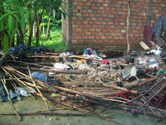 Elephants often ransack households for food. Stored paddy, salt and rice beer are most sought after pachyderm food.