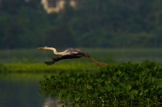 Samrat Sarkar - Image 3