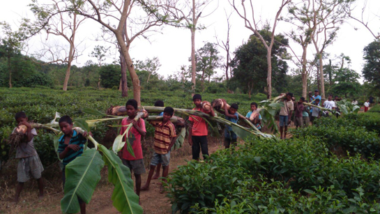 Villagers and civil society are engaged in continous efforts to improve the elephant habitat.  Removal of invasive species and plantation of elephant fodder including banana and fruit bearing trees.