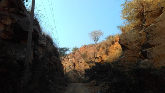Mangar is a large stretch of the Aravali hills on the southernmost tip of Delhi.