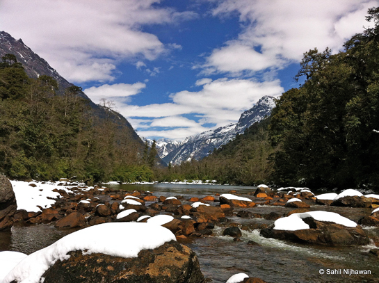 The author's research shows that nearly 65 per cent of the Dibang Wildlife Sanctuary lies at an elevation of 3,500 m. and above.