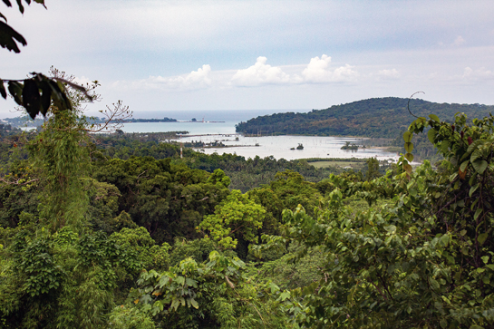 The Great Nicobar Island's bio-geography and its ancient tribal culture are as unique as they are irreplaceable. This island was notified as a Biosphere Reserve under UNESCO's Man Biosphere (MAB) programme in 2013.