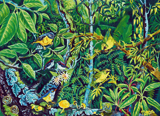 The artist's strikingly vivid and lucid paintings showcase her mastery over the use of light and reflect her innate passion and appreciation for the natural world, especially its floral and avian wonders.