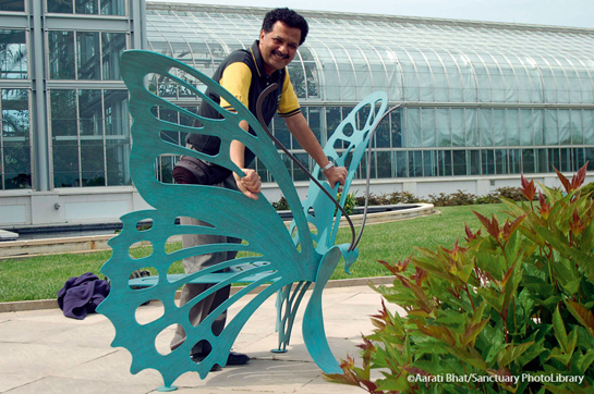 Butterfly expert Isaac Kehimkar is a prolific writer and is currently trying to popularise the concept of butterfly gardens in urban areas as a way of bringing children closer to nature.