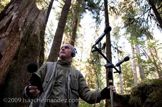 Popularly known as &acirc;The Sound Tracker', Gordon Hempton is an Emmy Award-winning acoustic ecologist who has circled the globe more than three times in search of the planet's last quiet places. In the course of this stunning journey, Hempton has captured the sounds of millions of species across the globe, spreading awareness about their conservation.  