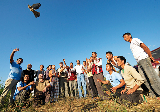 The Pangti village council head with other members and locals release an Amur Falcon. Until 2012, these villagers would kill as many as 100,000 birds each year to sell or eat.