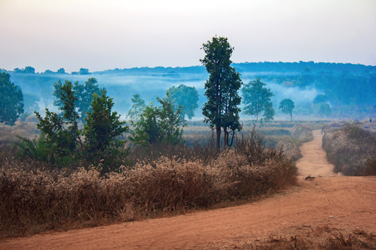 A picturesque valley at Jamgaon, where the author camped at former sarpanch Tulasi Majhi's house.