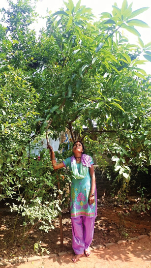 Jyothi admires her favourite mango tree. Jyothi admires her favourite mango tree.