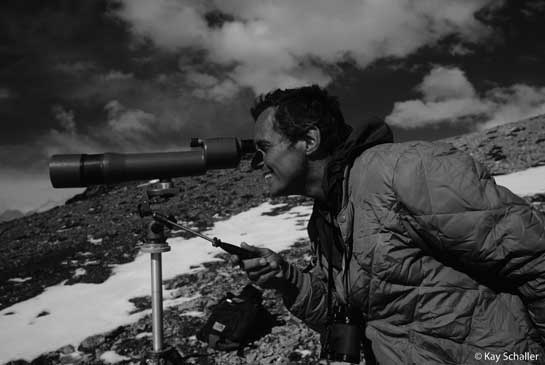 Dr. George Schaller is now working to establish a massive peace park along the boundaries of Pakistan, Afghanistan, Tajikistan and China to conserve the endangered Marco Polo sheep. Dr. George Schaller is now working to establish a massive peace park along the boundaries of Pakistan, Afghanistan, Tajikistan and China to conserve the endangered Marco Polo sheep.
