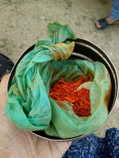 Kesar Kesar