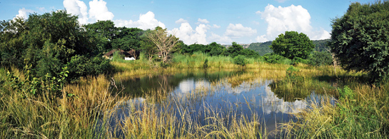 The Khem Villas property that is now home to a variety of birds, butterflies and mammals.