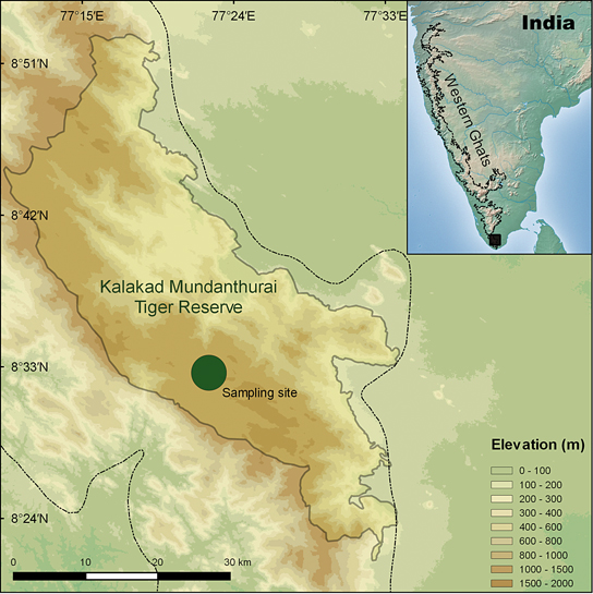 A map showing the author's study site within KMTR along the Western Ghats that also offers us an understanding of the site's elevation. A map showing the author's study site within KMTR along the Western Ghats that also offers us an understanding of the site's elevation.