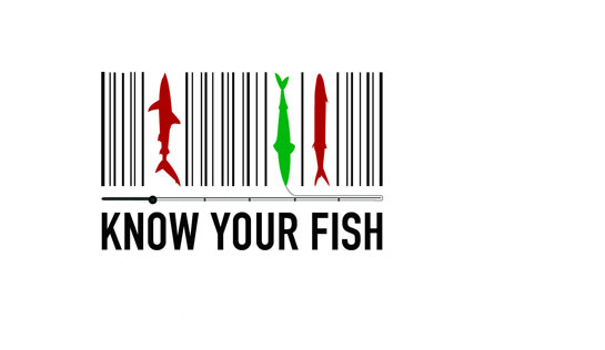 Know Your Fish