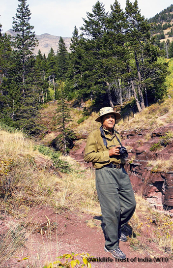 A man of steely will, M. K. Ranjitsinh has drafted some of India's most ground-breaking conservation policies and projects. In a career that spans over half a century, he has done more for India's wildlife than can ever be justly chronicled. A man of steely will, M. K. Ranjitsinh has drafted some of India's most ground-breaking conservation policies and projects. In a career that spans over half a century, he has done more for India's wildlife than can ever be justly chronicled.