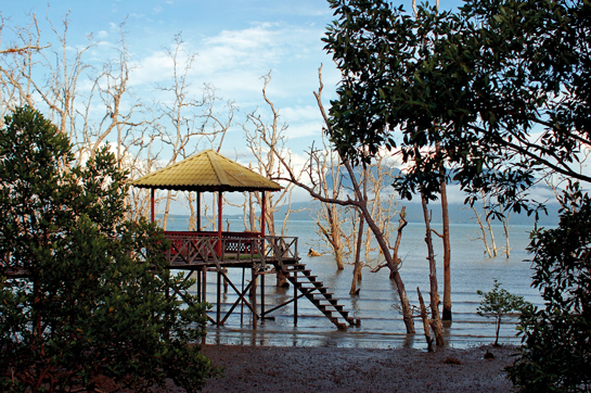 The Bako Jetty looks out over the South China Sea that surrounds the biodiverse island of Borneo.