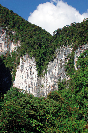 In the centre of Malaysian Borneo, the Gunung Mulu National Park is an old-growth forest that is world-renowned for its extensive cave-systems. In the centre of Malaysian Borneo, the Gunung Mulu National Park is an old-growth forest that is world-renowned for its extensive cave-systems.