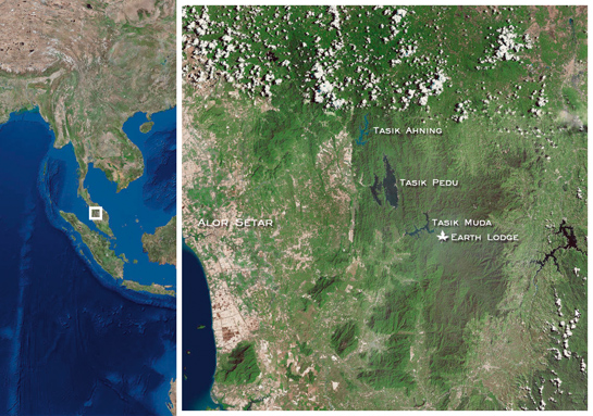 Along with the Tasik Muda, two more man-made lakes - the Pedu and Ahning - collect the waters of the expansive catchment area of the Greater Ulu Muda Forest Complex.