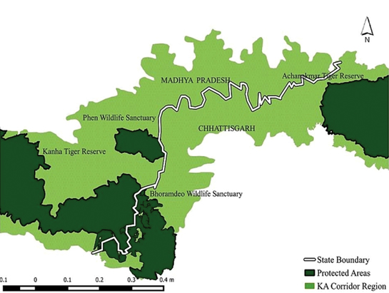 If human pressures in this crucial wildlife corridor are contained, Bhoramdeo could be a critical link between the Kanha and Achanakmar Tiger Reserves.