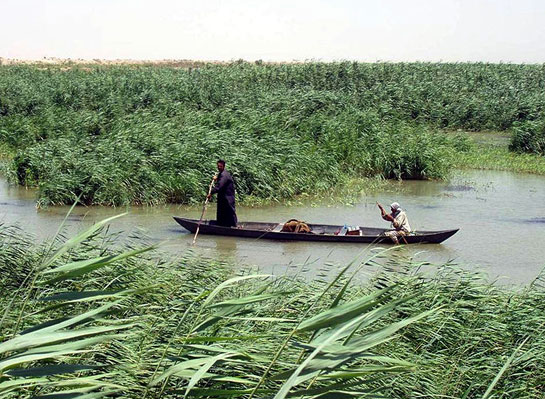 Mesopotamian Marshlands.