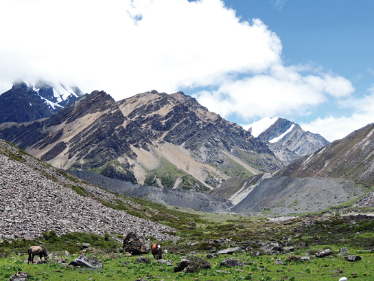 The Western Arunachal Landscape boasts of rich flora and fauna and is part of the Eastern Himalayan Global Biodiversity Hotspot.