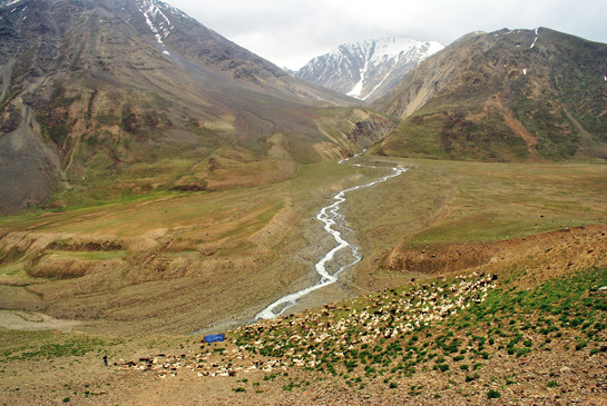 A migratory herder camp near the Larang camp-site in Pin Valley serves as a trans-Himalayan summer-home for shepherds from neighbouring Kinnaur.
