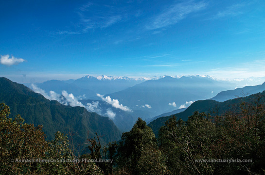 Straddling the Dibang Valley and Lohit districts, the lush, little-explored Mishmi Hills host diverse habitats that in turn provide sustenance to innumerable species of flora and fauna.