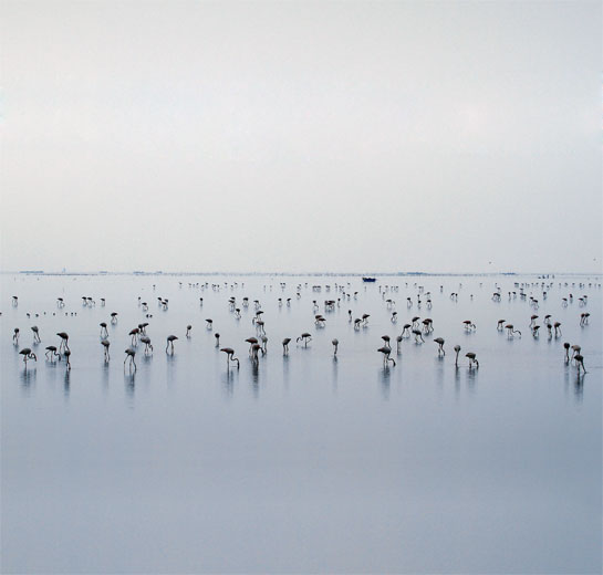This image by Muniswararaja Palaniappan won a Special Mention Award at the Sanctuary Wildlife Photography Awards 2013.