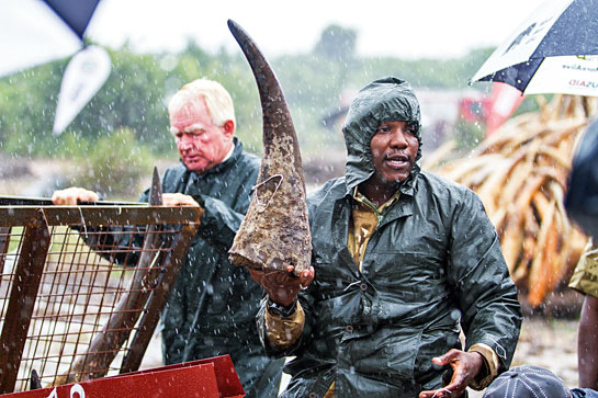 This year, Kenya hosted the largest-ever ivory burn that also saw the destruction of over one tonne of seized rhino horns.