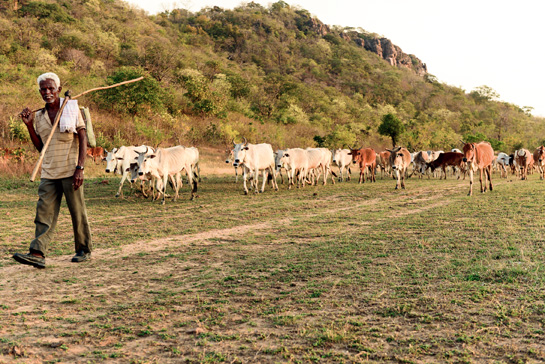 Solar-powered freshwater borewells have been installed at strategic points by the Forest Department to replenish small waterbodies, streams and artificially-created waterholes.