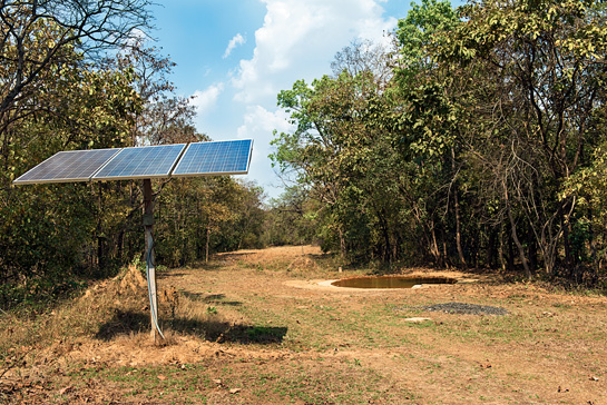 Years of relentless degradation of Umred-Karhandla's forests by cattle grazing, felling of trees for fuelwood and hunting had resulted in dwindling prey-base density until strict protection measures were implemented.