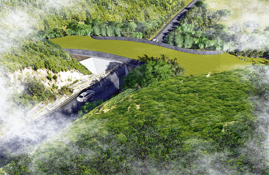 An artist's impression of the proposed wildlife overpass at Kottavasal to facilitate the movement of large carnivores and herbivores across the Ariyankavu pass.