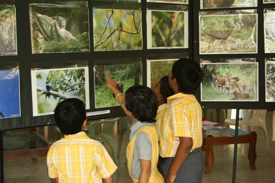 On Earth Day 2012, the ECG partnered with Sanctuary Asia and the Earth Day Network to spread environmental awareness. 