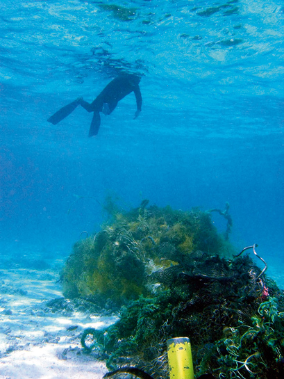 Marine debris near the Northwestern Hawaiian Islands, which are also part of the Hawaiian Islands National Wildlife Refuge. Discarded waste such as soda cans, cigarette butts, plastic bags and straws are detrimental to the health of marine life and ecosystems.