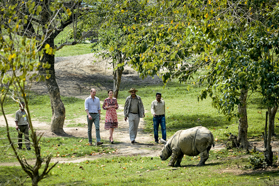 During their trip in April to Kaziranga National Park, Prince William and the Duchess of Cambridge also visited the Centre for Wildlife Rehabilitation and Conservation (CWRC), the only facility in India where orphaned and injured wild animals are treated, hand-raised if needed and rehabilitated into the wild.