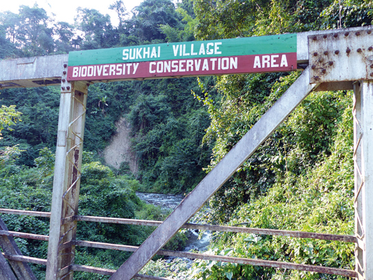 The author along with her colleagues at TERI began working with the Sema tribe of Nagaland to document and assess Community-Conserved Areas (CCAs). Nearly one-third of the state's villages have established CCAs.