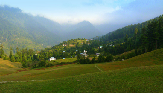 As the author traversed the thick pine forests along the mountain paths, the trees suddenly gave way to present Shangarh, a sprawling emerald green meadow at a very high altitude in the Himalaya.