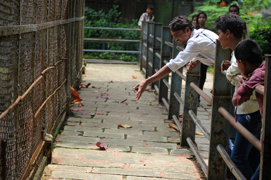 Visitors are often found feeding and teasing the animals at the zoo.