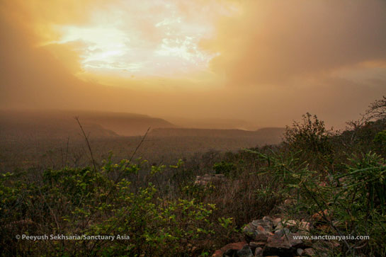Panna National Park