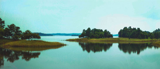 Pench Tiger Reserve, Maharashtra