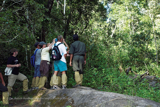 Engaging locals, the true stakeholders of the forests, as guides, protectors and coordinators is crucial and beneficial to sustainable tourism.