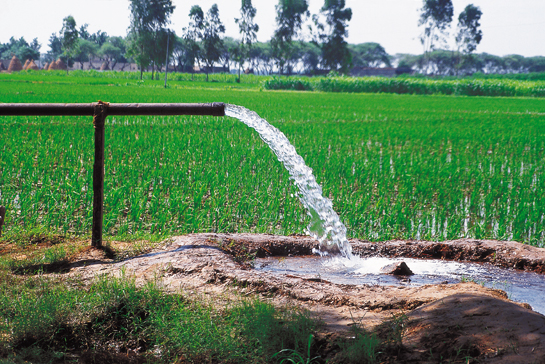 Modern agriculture is highly vulnerable to, and a major cause of climate change, due to its greenhouse gas emissions and its damaging effects on soil and freshwater resources. A combination of traditional agricultural knowledge and techniques and newly emerging sustainable technologies, may hold the solution to the current crisis.
