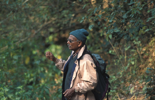 LIFETIME SERVICE AWARD: Dr. A.J.T. Johnsingh has devoted his life to wild nature.