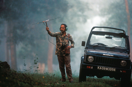 Dr. Ullas Karanth's country-wide survey of tigers included radio-collaring them in Nagarahole and establishing the camera-capture-recapture method to estimate tiger numbers. This provided a more realistic picture of the tiger population in India than the inflated figures trotted out by self-congratulating state governments.